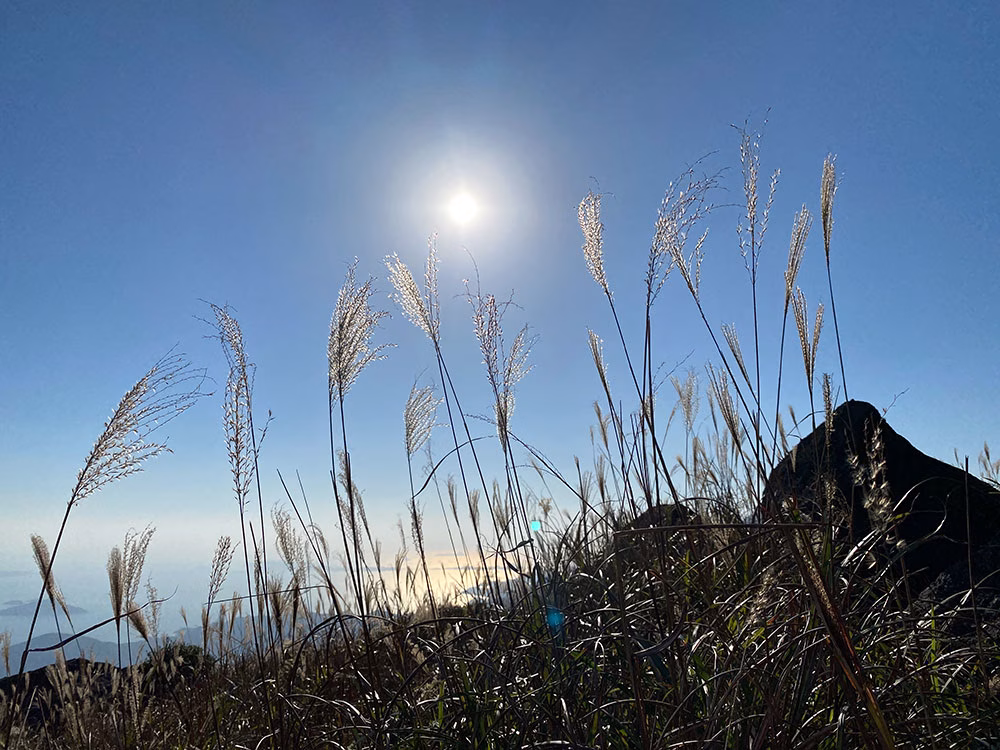 Autumn at Sunset Peak, Lantau